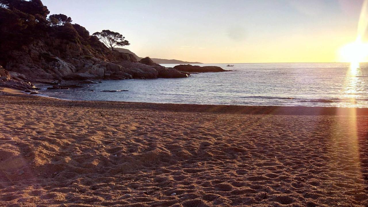Apartamento Carabelasiente La Brisa Del Mar Tossa de Mar Exteriör bild